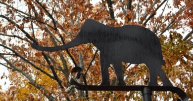 Walking the Elephant Trails – The Ethics of Elephants in Captivity Walking the Elephant Trails – The Ethics of Elephants in Captivity