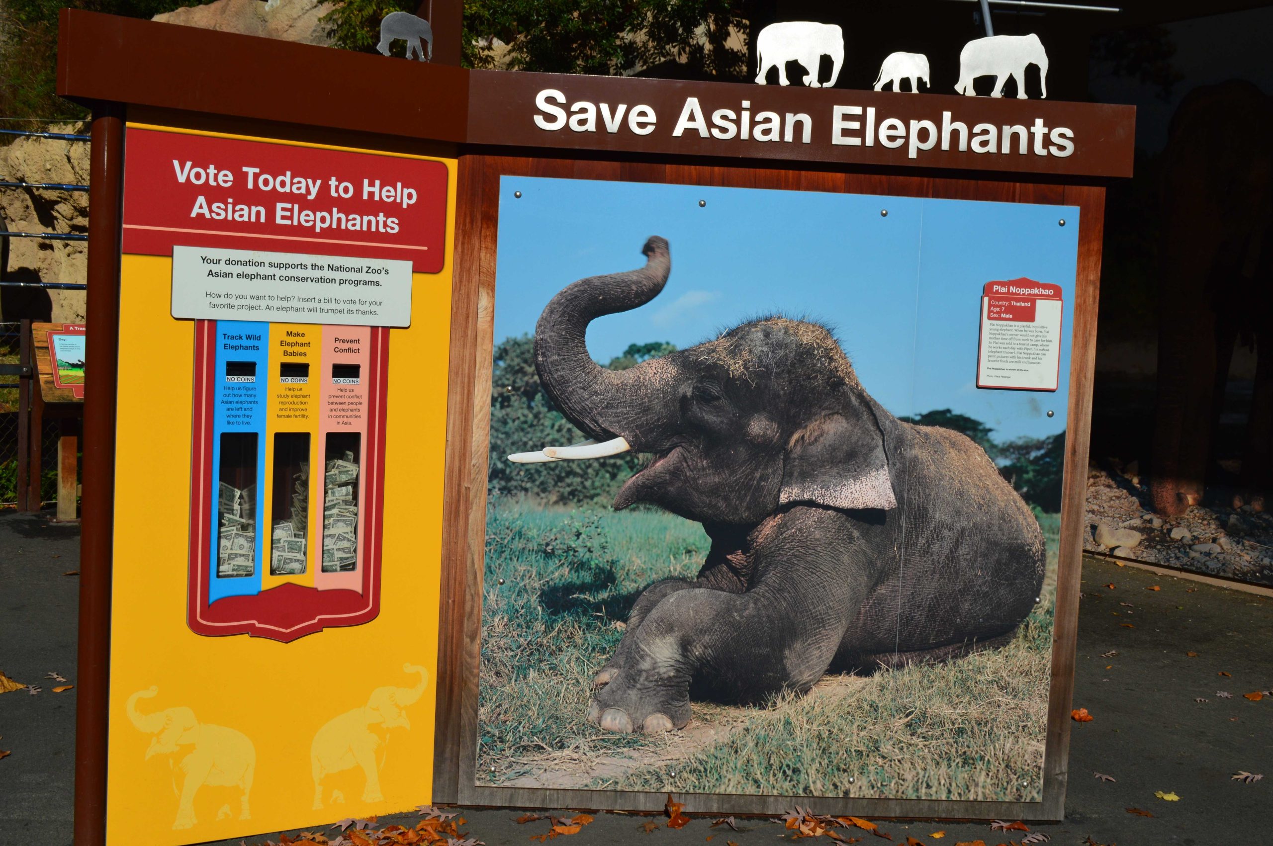 National Zoo believes they are doing what is best for their animals while others disagree 