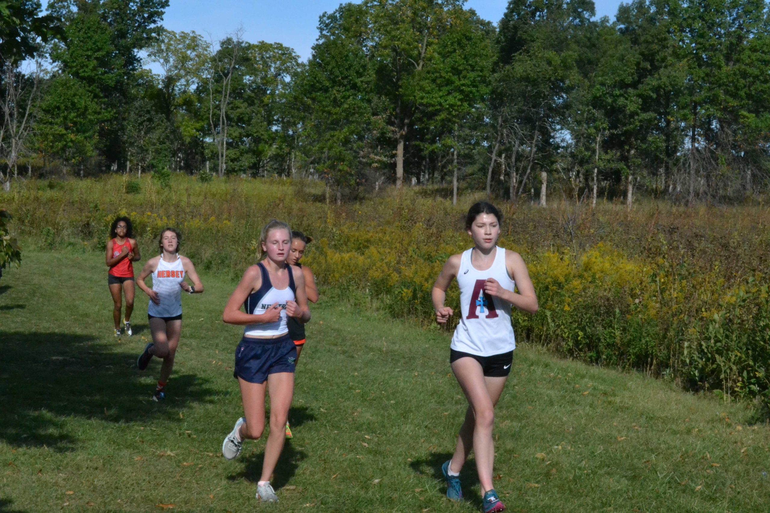2021 Palatine Cross Country Meet