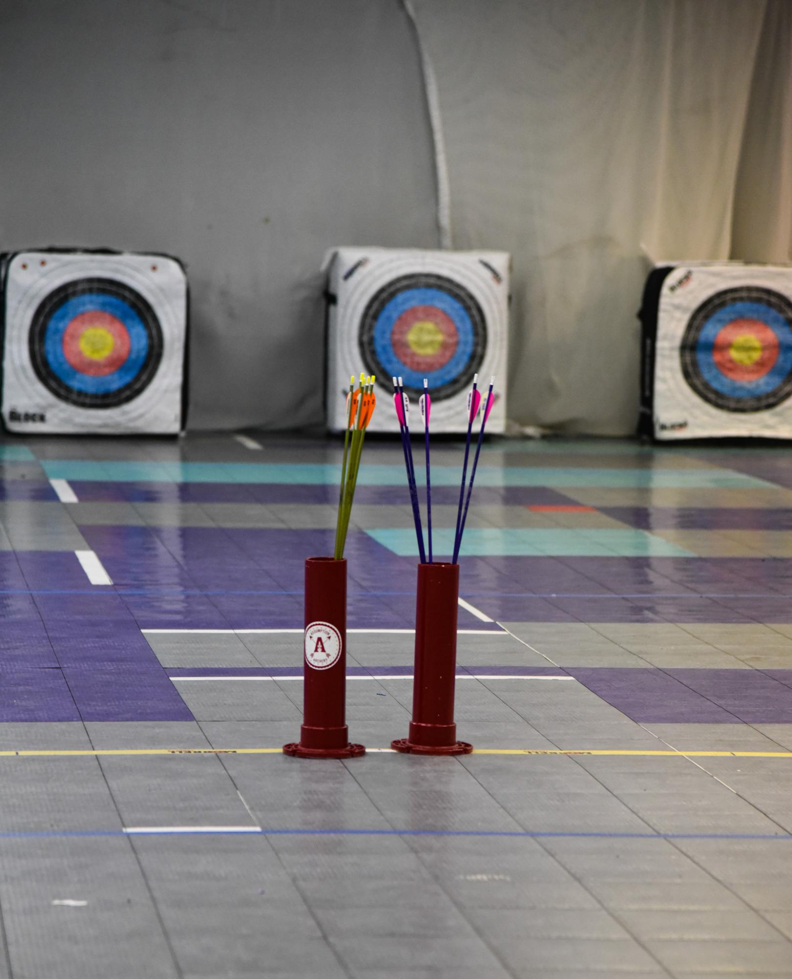 Aiming High: A Glimpse into Archery