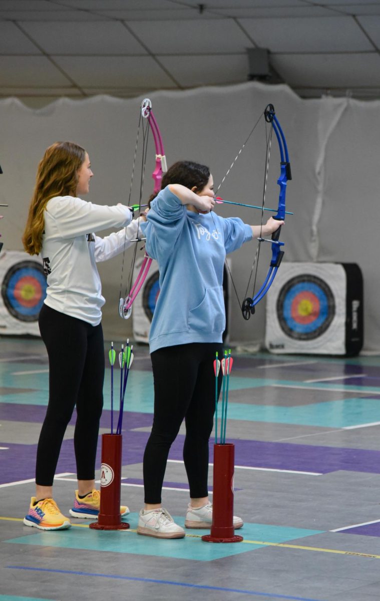 Aiming High: A Glimpse into Archery