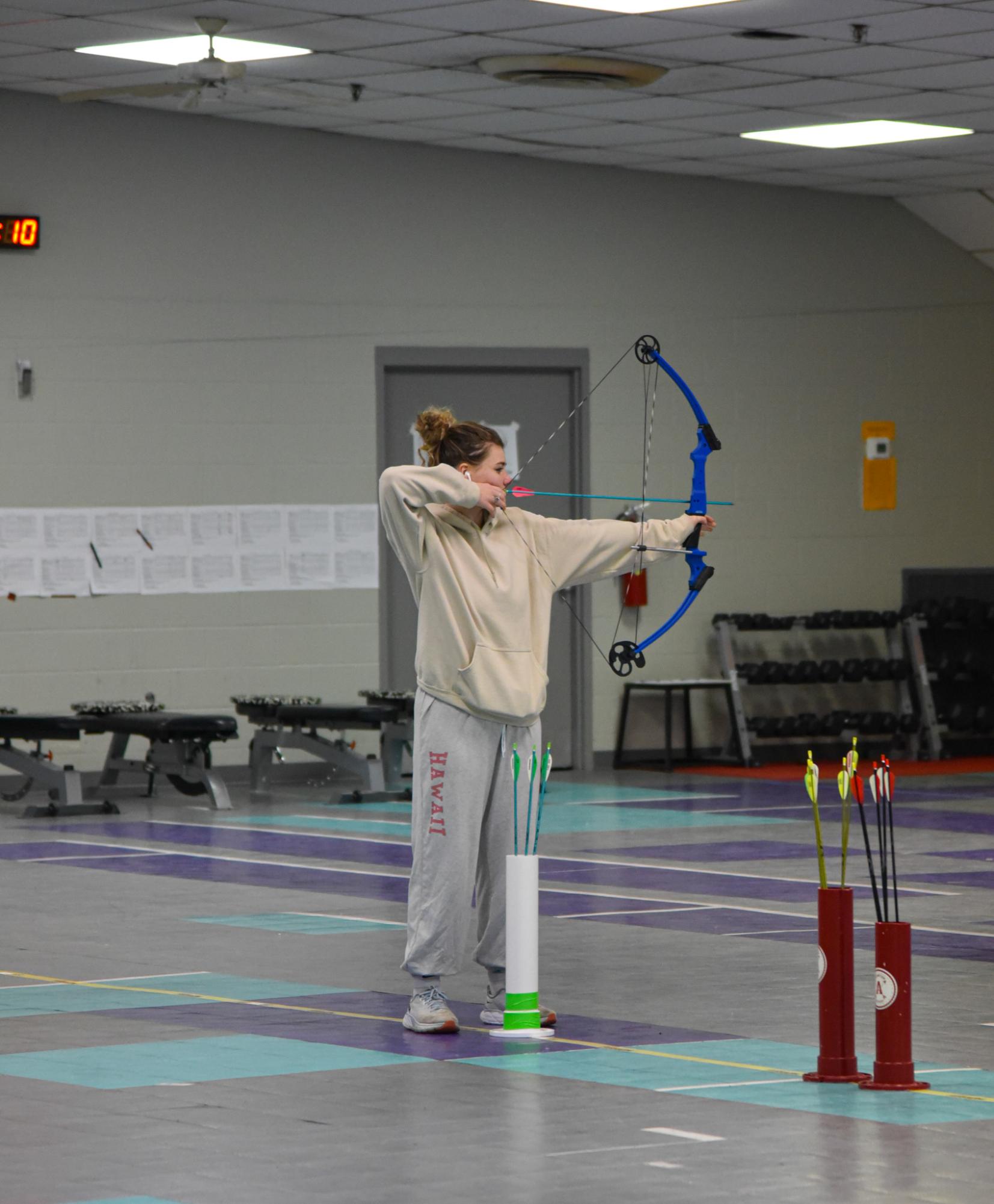 Aiming High: A Glimpse into Archery