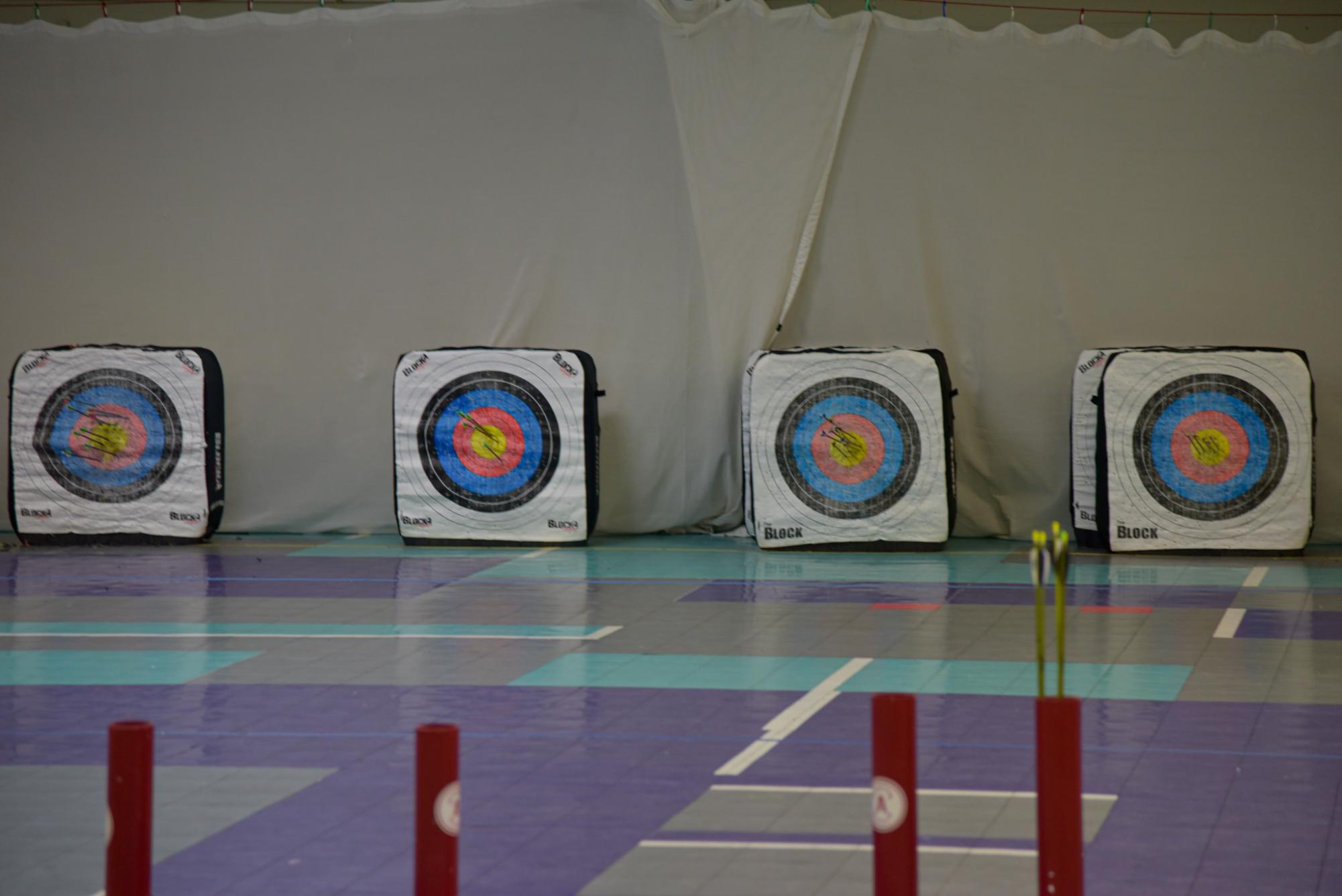 Aiming High: A Glimpse into Archery